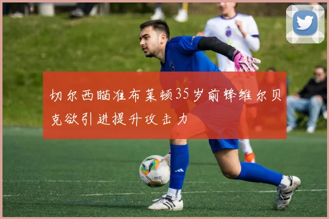 切尔西瞄准布莱顿35岁前锋维尔贝克欲引进提升攻击力