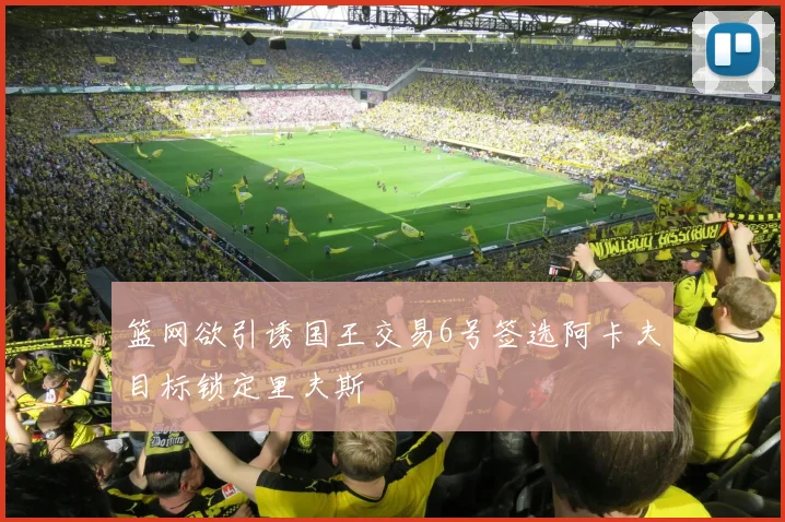篮网欲引诱国王交易6号签选阿卡夫目标锁定里夫斯